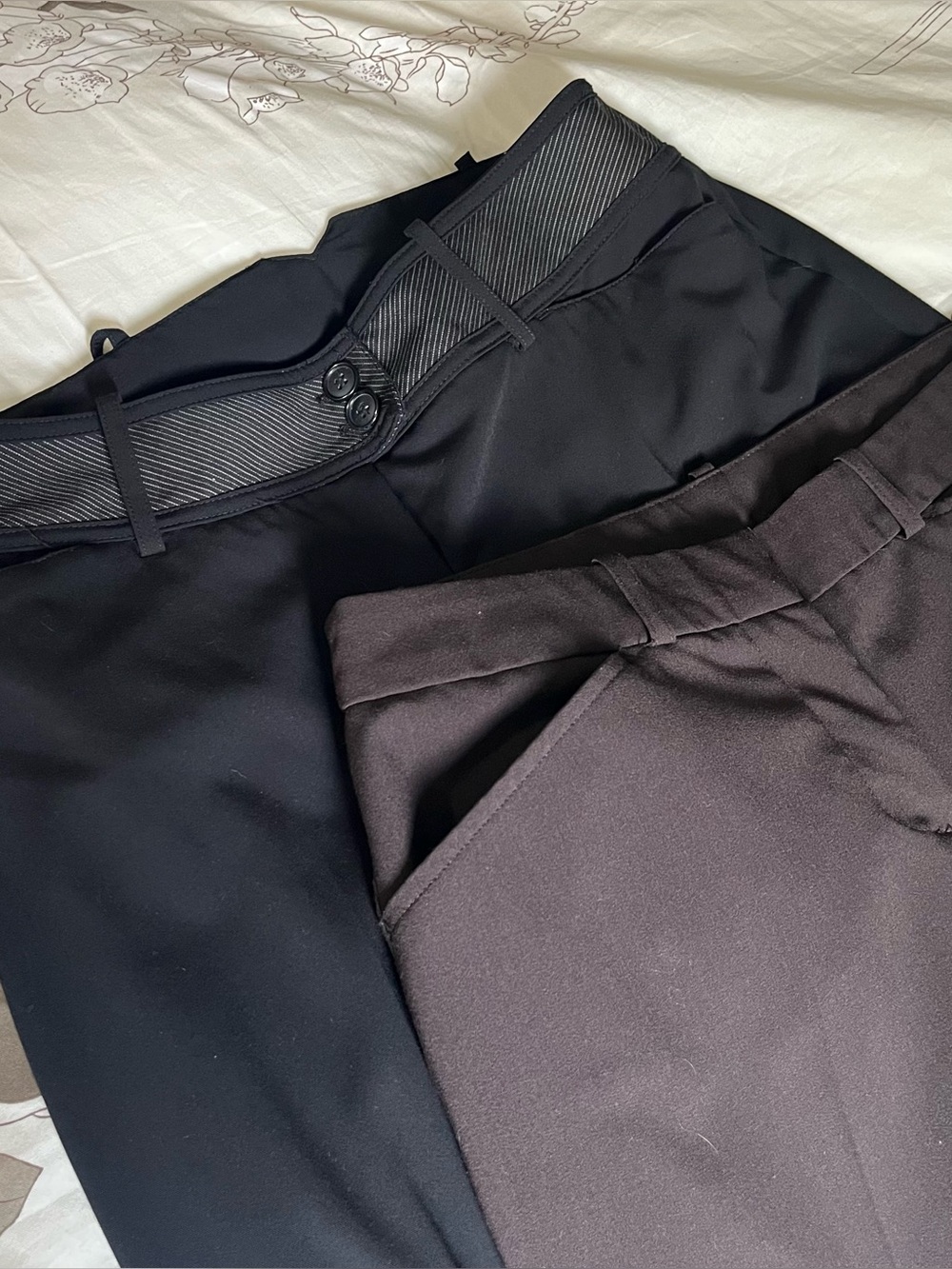 Women’s Black and Dark Brown Dress Pants - Classic Tailored Fit 8P